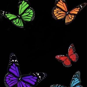 Meet your Posher, Ari